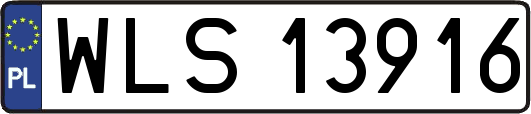 WLS13916