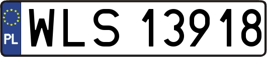WLS13918