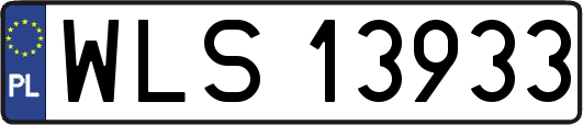 WLS13933