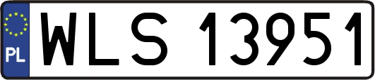 WLS13951