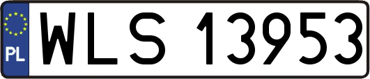WLS13953