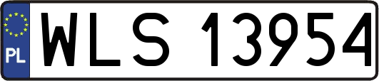 WLS13954