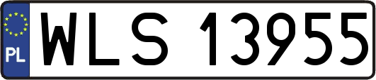 WLS13955