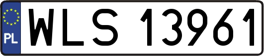 WLS13961