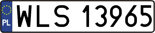 WLS13965
