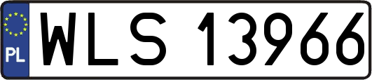 WLS13966