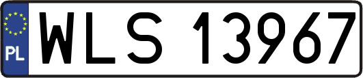 WLS13967