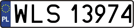 WLS13974
