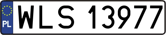 WLS13977