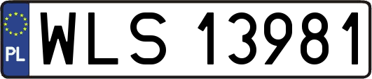 WLS13981