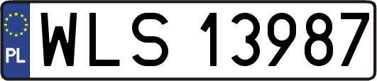 WLS13987