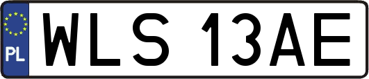 WLS13AE