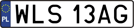WLS13AG