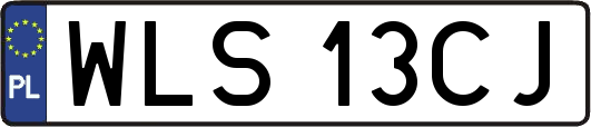 WLS13CJ