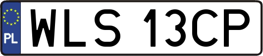 WLS13CP