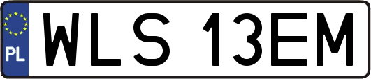 WLS13EM