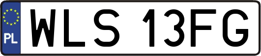 WLS13FG