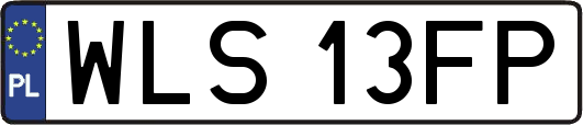 WLS13FP