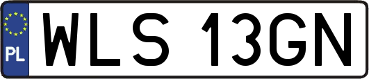 WLS13GN