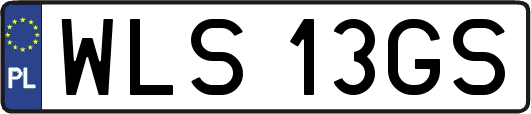 WLS13GS