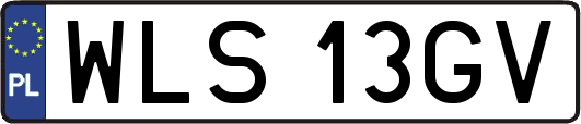 WLS13GV