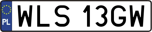 WLS13GW