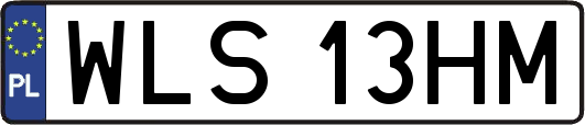 WLS13HM