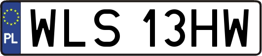 WLS13HW
