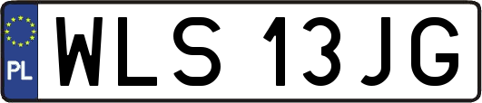 WLS13JG