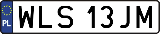 WLS13JM