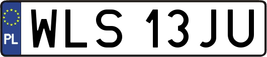 WLS13JU
