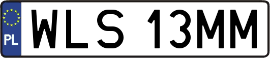 WLS13MM