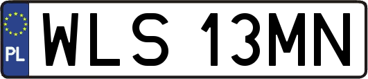 WLS13MN