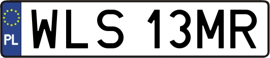 WLS13MR