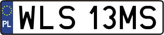 WLS13MS