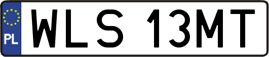 WLS13MT