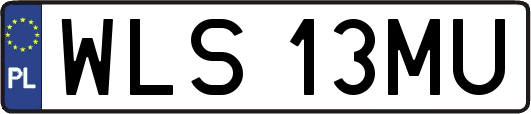 WLS13MU