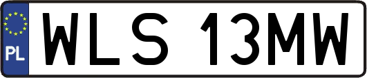WLS13MW