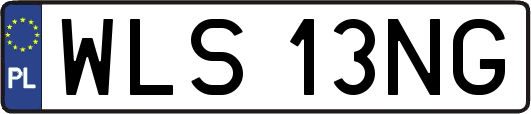 WLS13NG