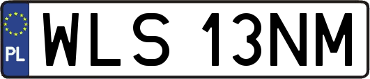 WLS13NM