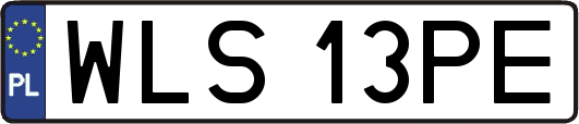 WLS13PE