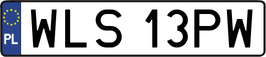 WLS13PW