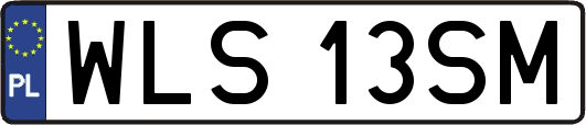 WLS13SM