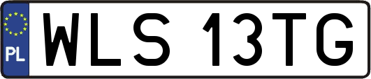 WLS13TG