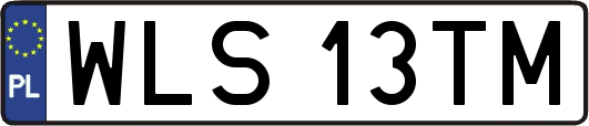 WLS13TM