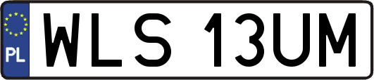 WLS13UM