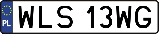 WLS13WG
