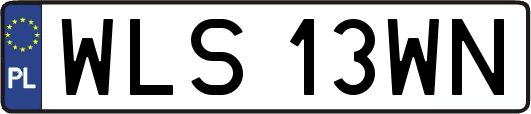 WLS13WN