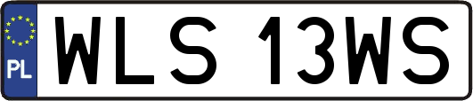 WLS13WS