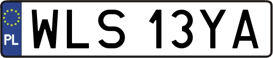 WLS13YA